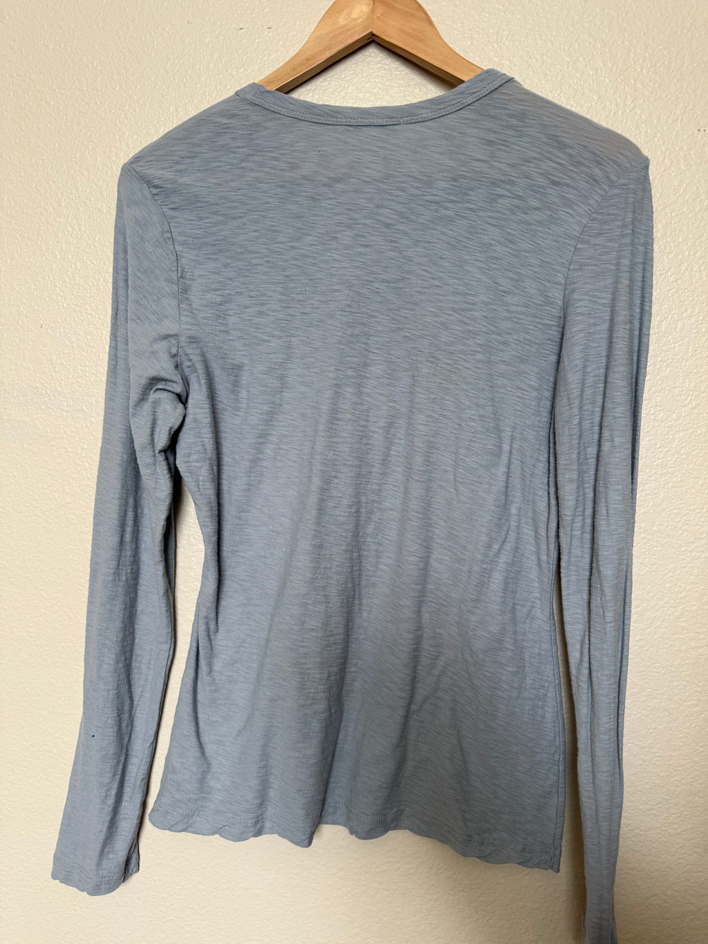 James Perse 100% Cotton Size 3 (L) Sheer Long Sleeve Crew Neck Light Blue